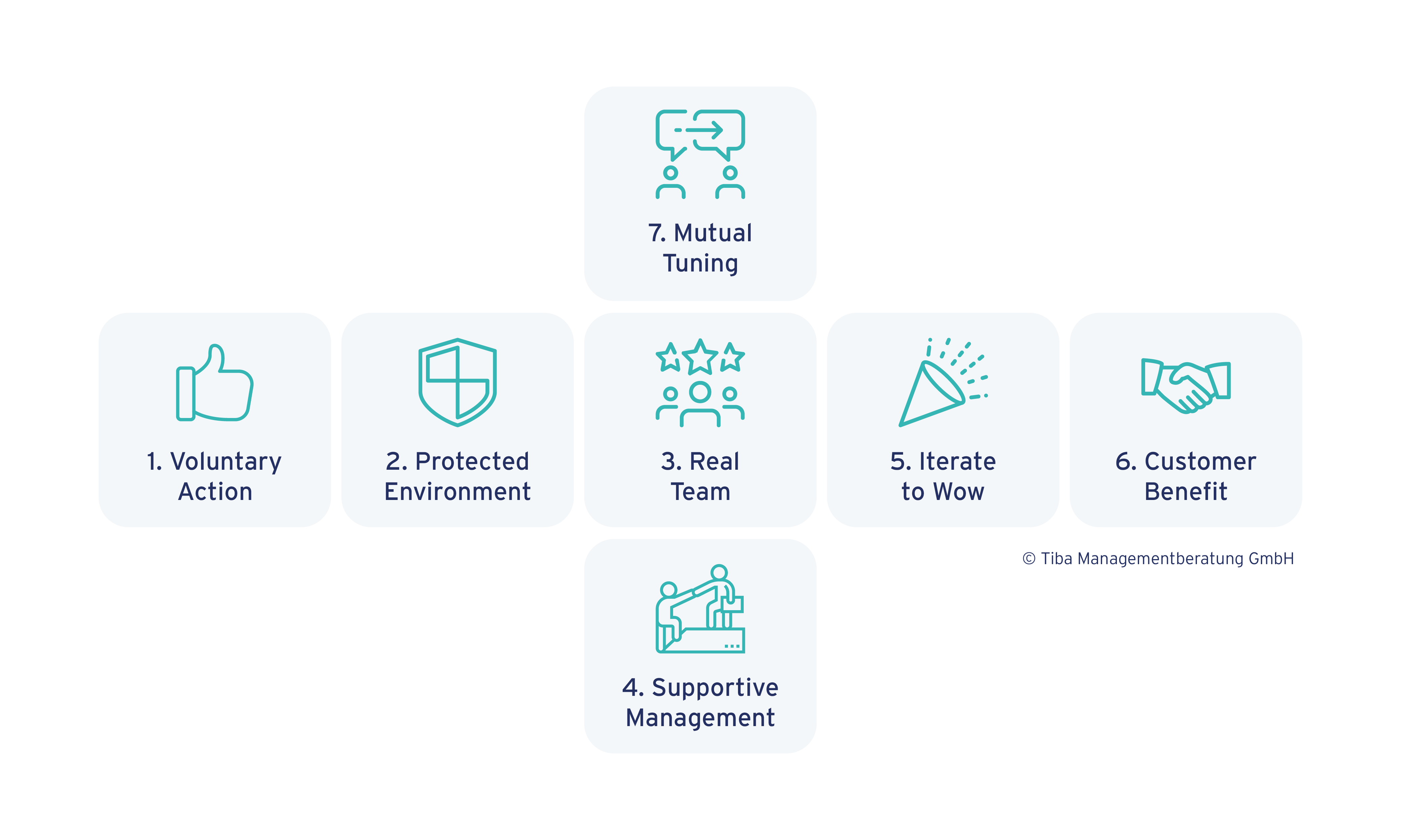 Graphic of Tiba-7 agile principles