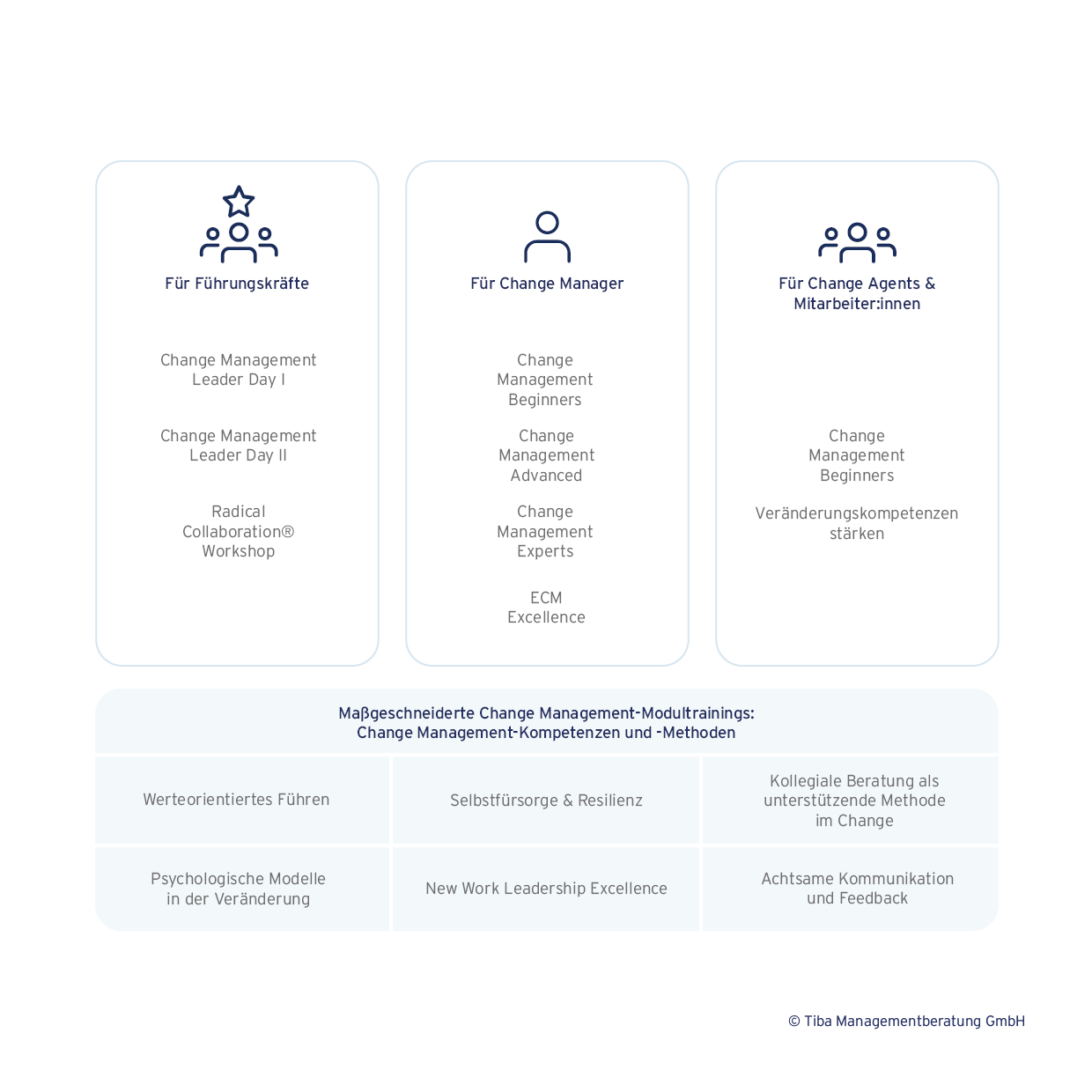 Grafische Darstellung unserer Tiba Change Management Trainings | Change Management-Beratung