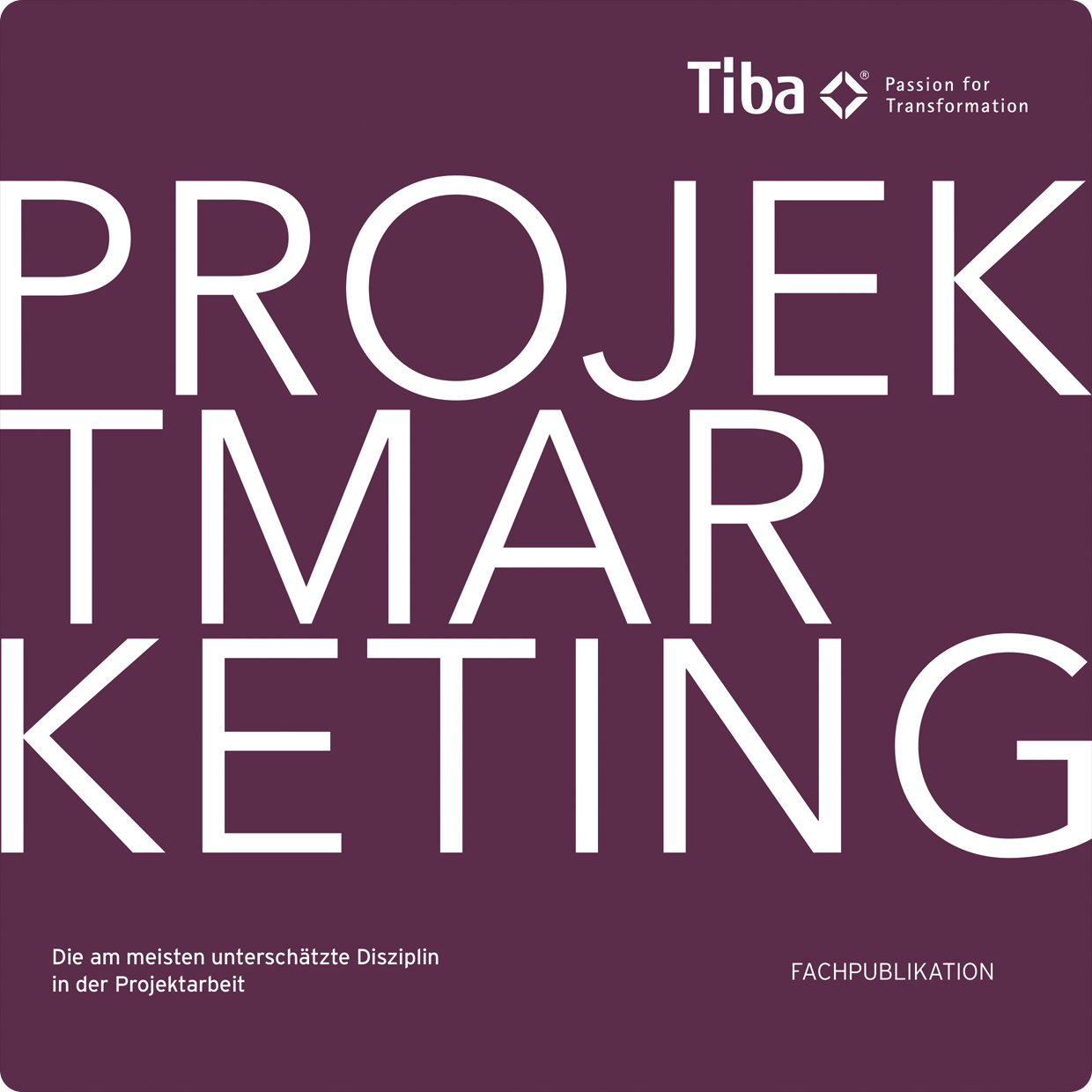 Projektmarketing im Fokus