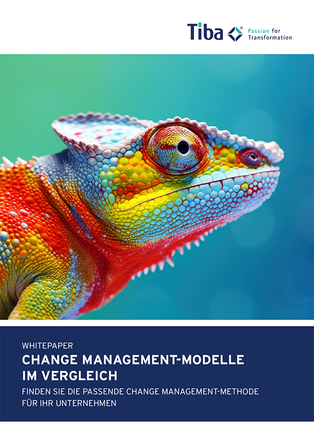 Change Management-Modelle im Vergleich