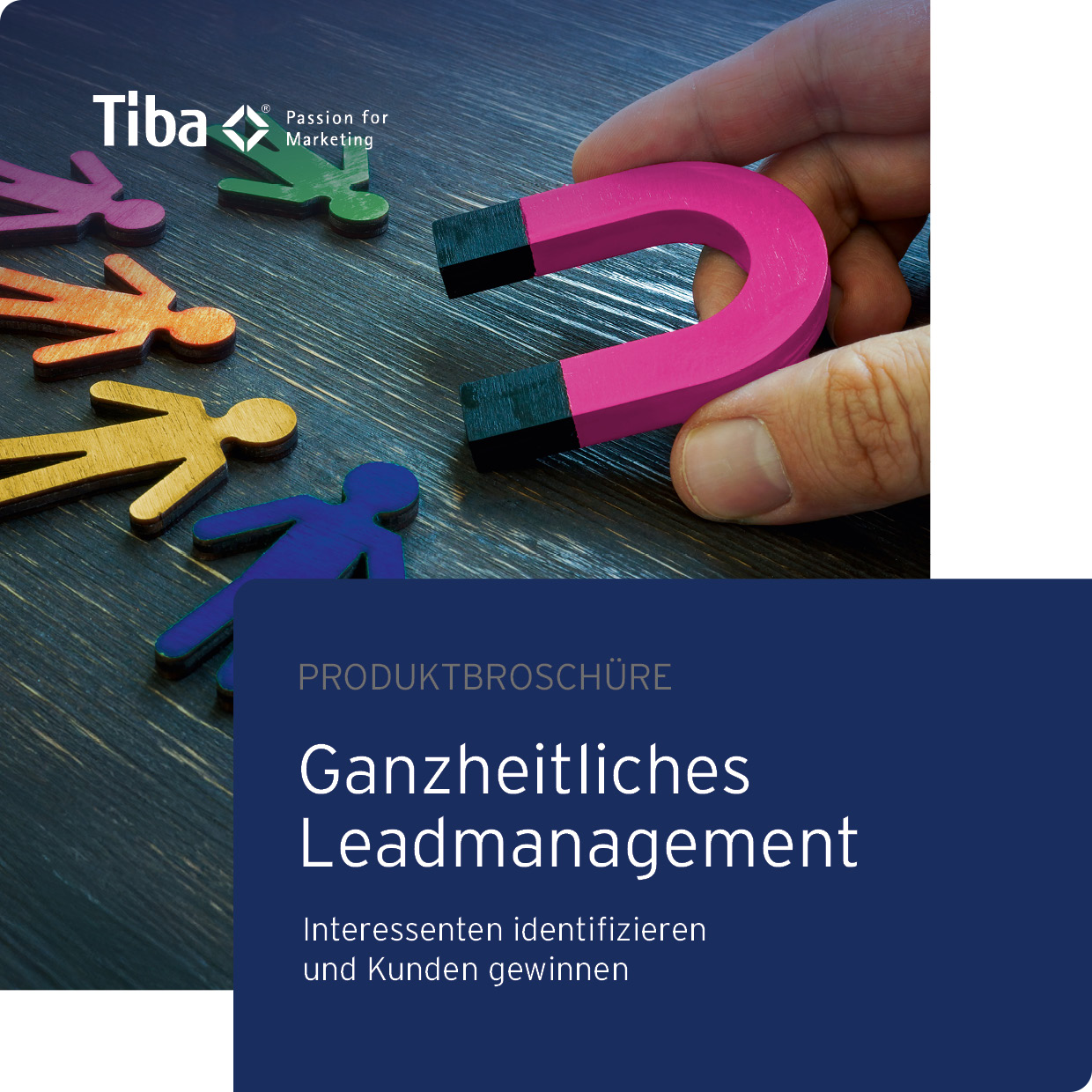 Ganzheitliches Leadmanagement