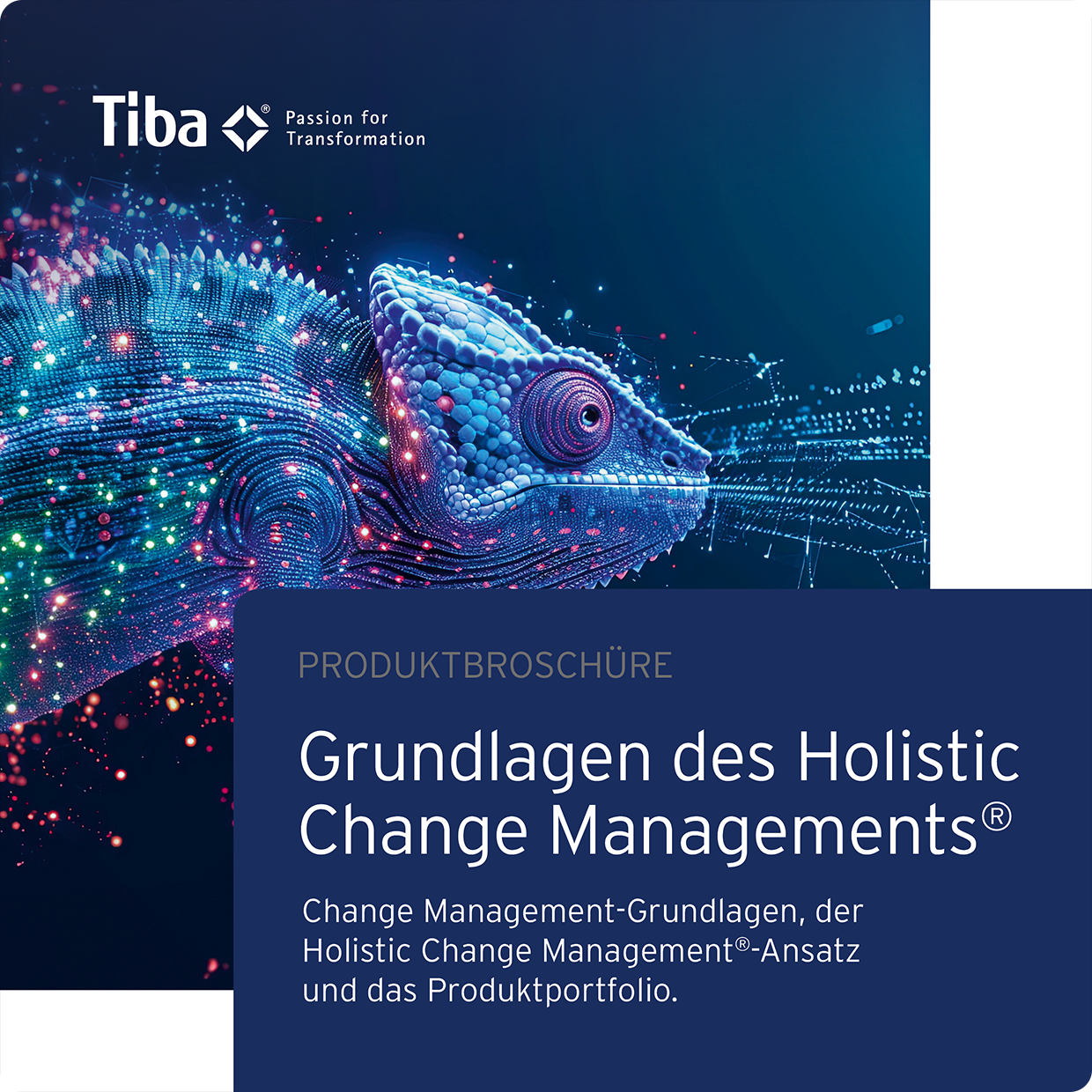 Produktbroschüre Tiba Holistic Change Management®