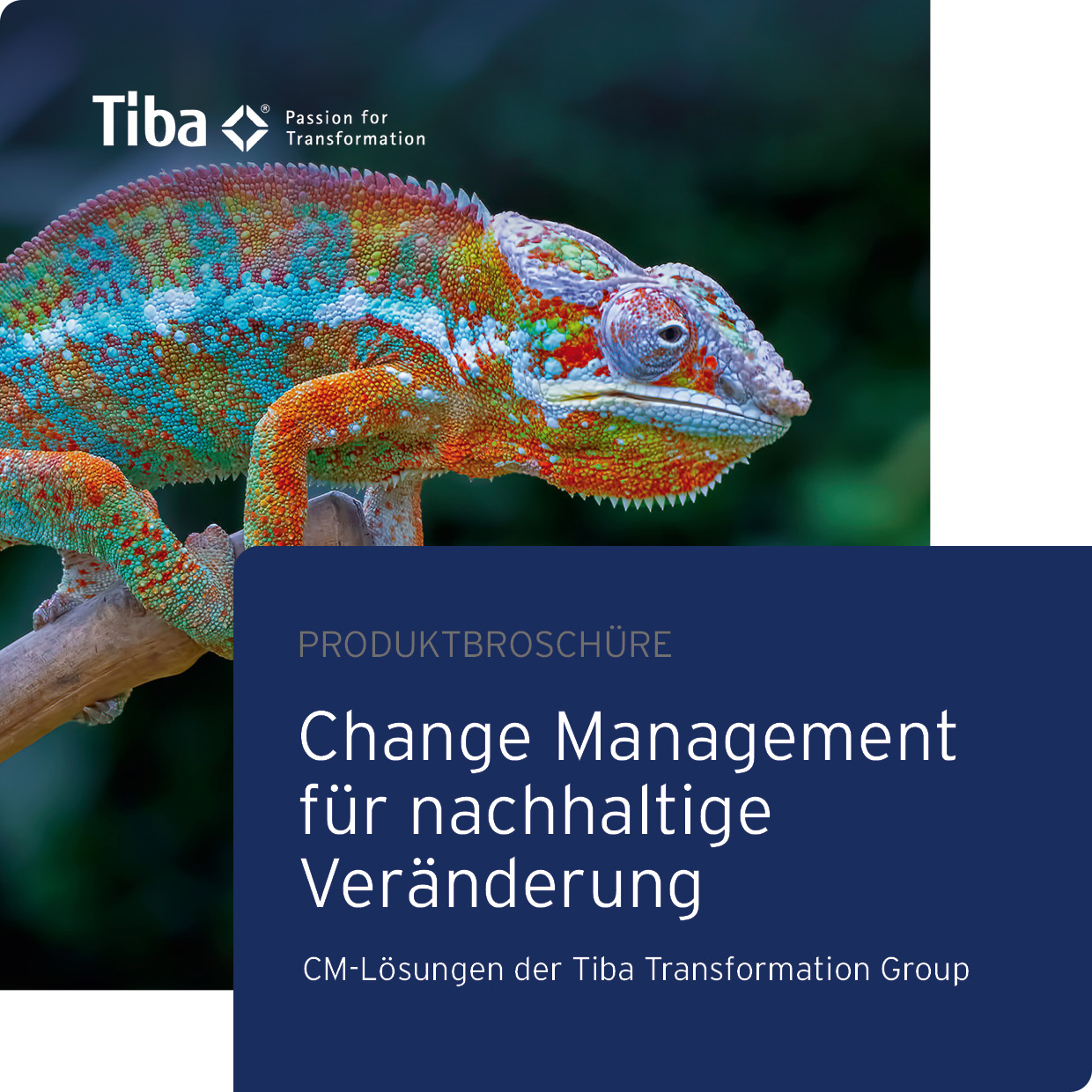 Change Management für nachhaltige Veränderung