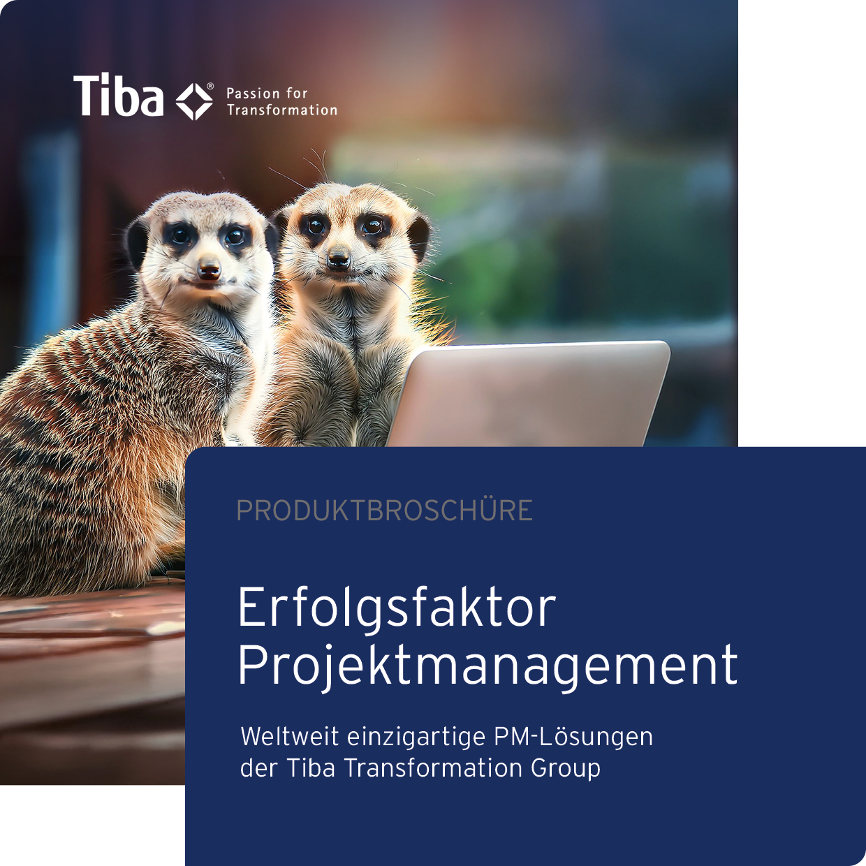 Erfolgsfaktor Projektmanagement