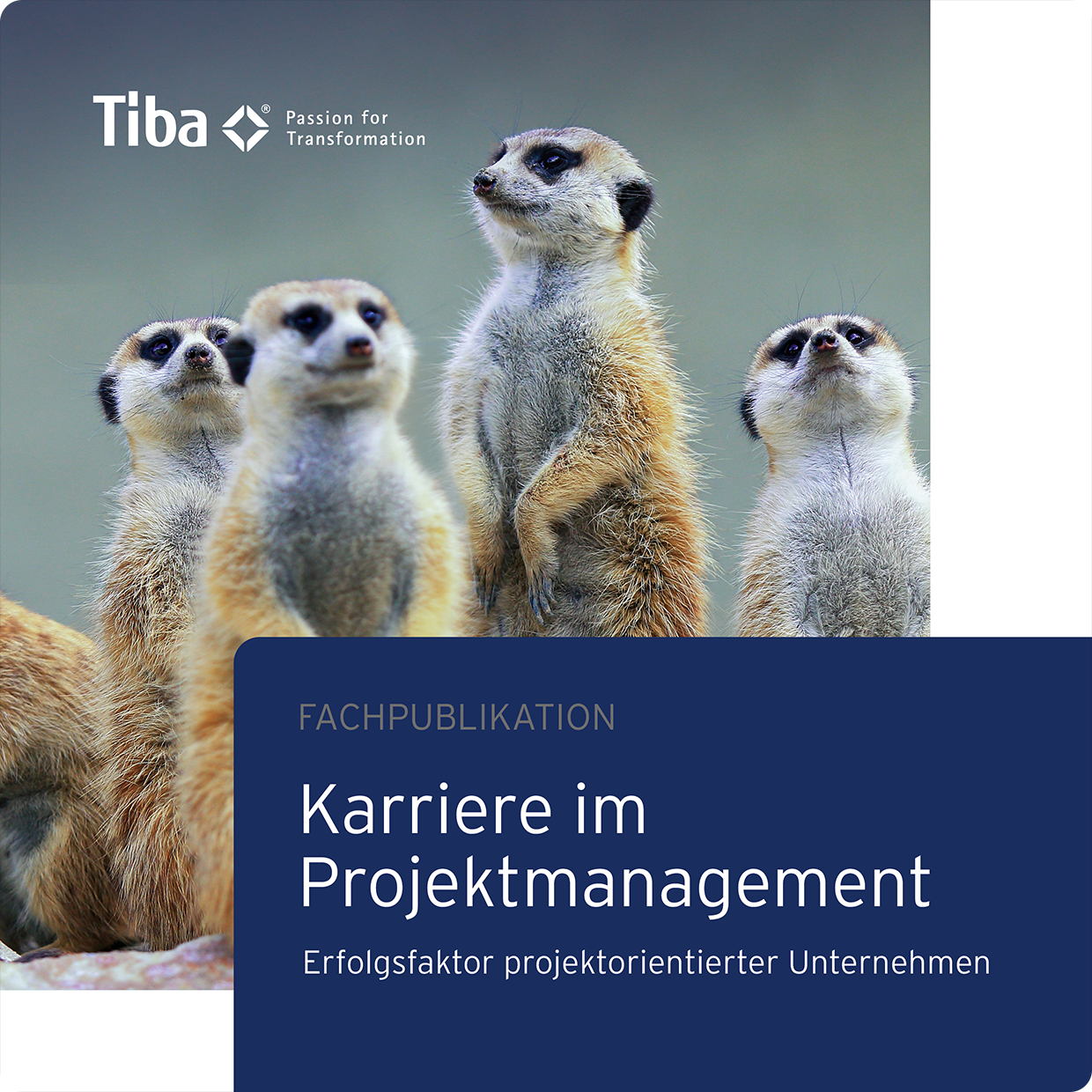 Karriere im Projektmanagement