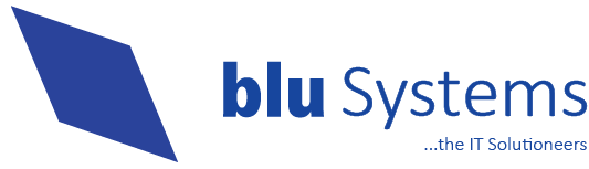 Logo von bluSystems